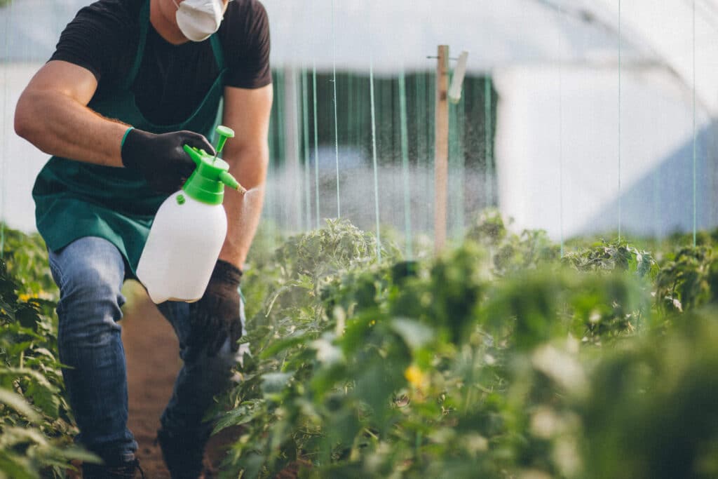 Herbicide being sprayed on plants